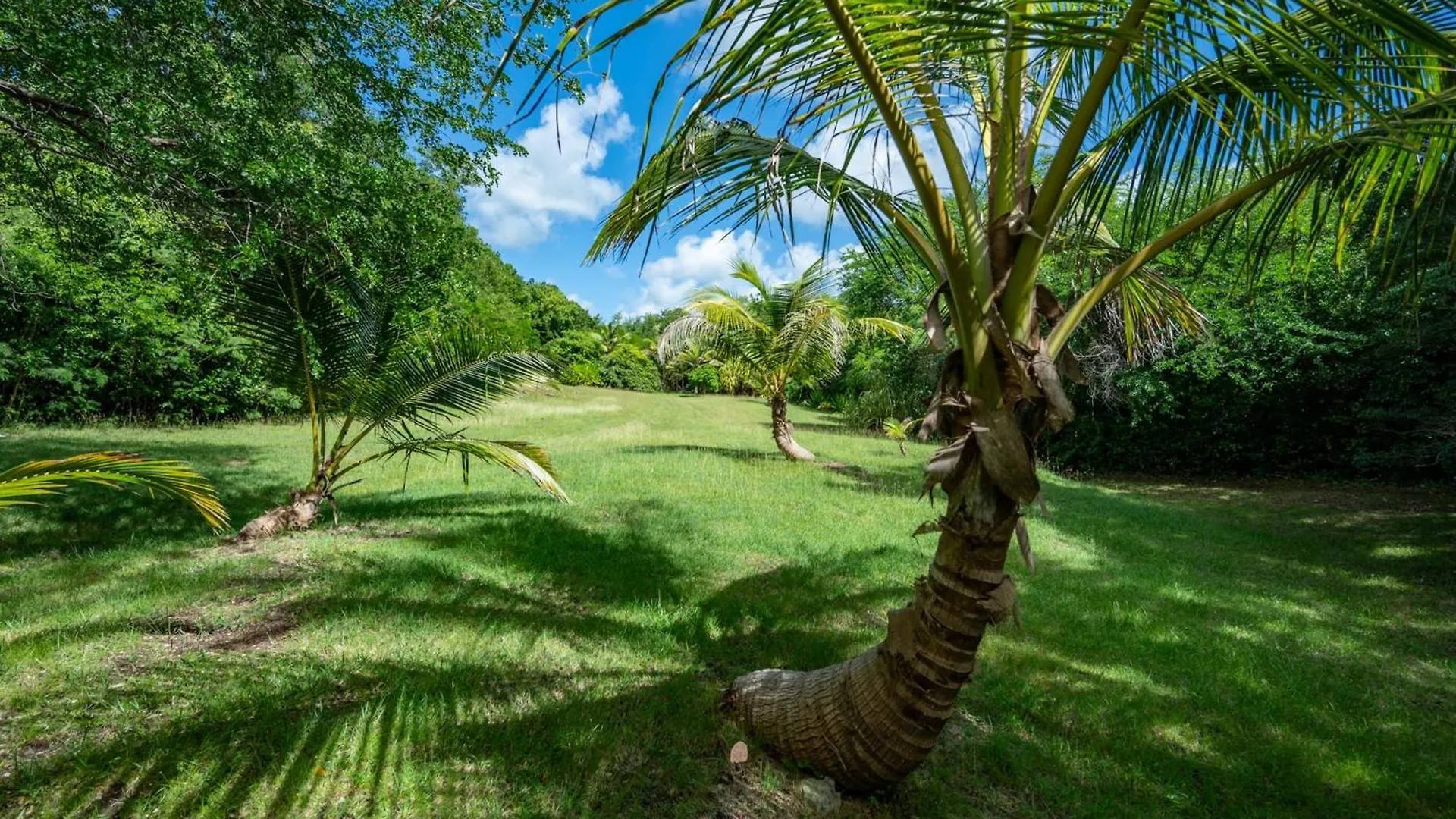 Villa Bwacajou Grand-Bourg